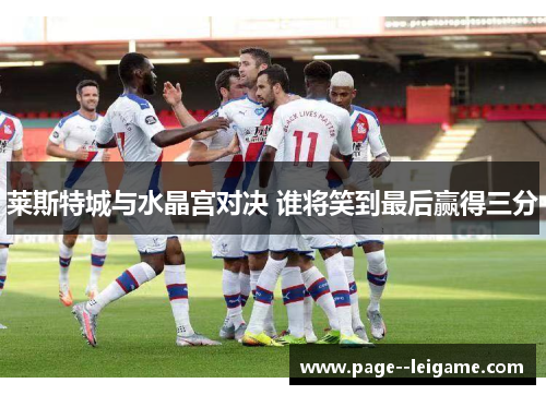 莱斯特城与水晶宫对决 谁将笑到最后赢得三分 莱斯特城与水晶宫对决 谁将笑到最后赢得三分