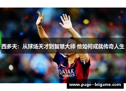 西多夫:从球场天才到智慧大师 他如何成就传奇人生 西多夫:从球场天才到智慧大师 他如何成就传奇人生